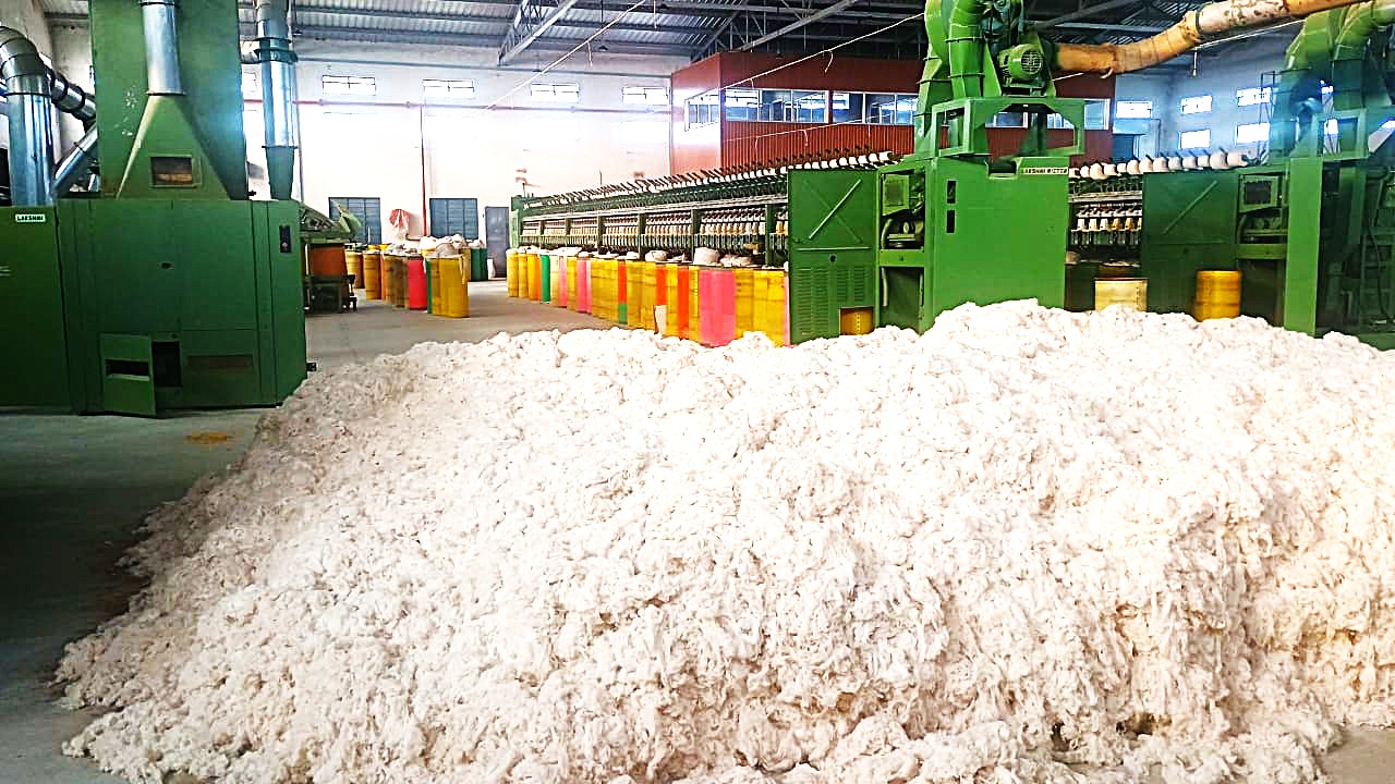 Oasis International Fabricante de bolsas de algodón en India